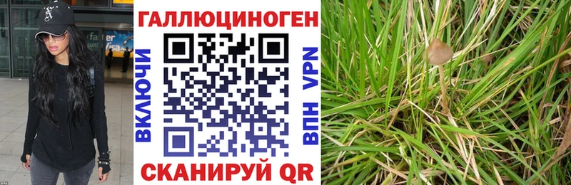 магазин Североморск Галлюциногенные грибы GOLDEN TEACHER